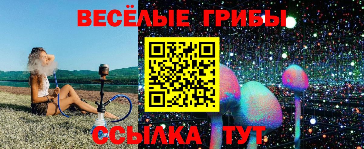 Галлюциногенные грибы мухоморы Кохма