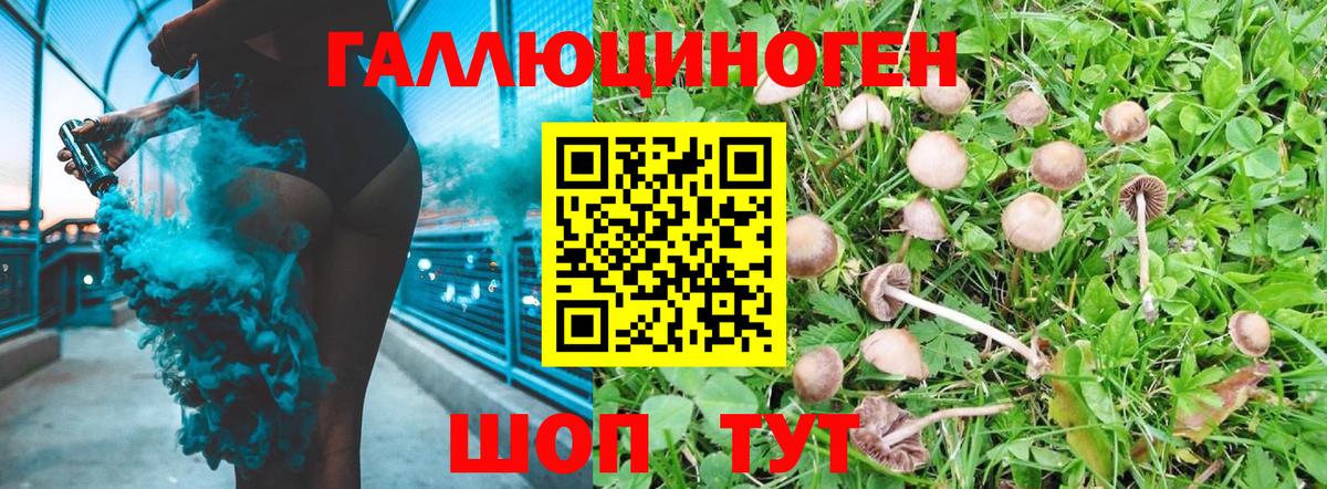 Псилоцибиновые грибы GOLDEN TEACHER  Вход с VPN  где продают наркотики  Кохма  Псилоцибиновые грибы прущие грибы 